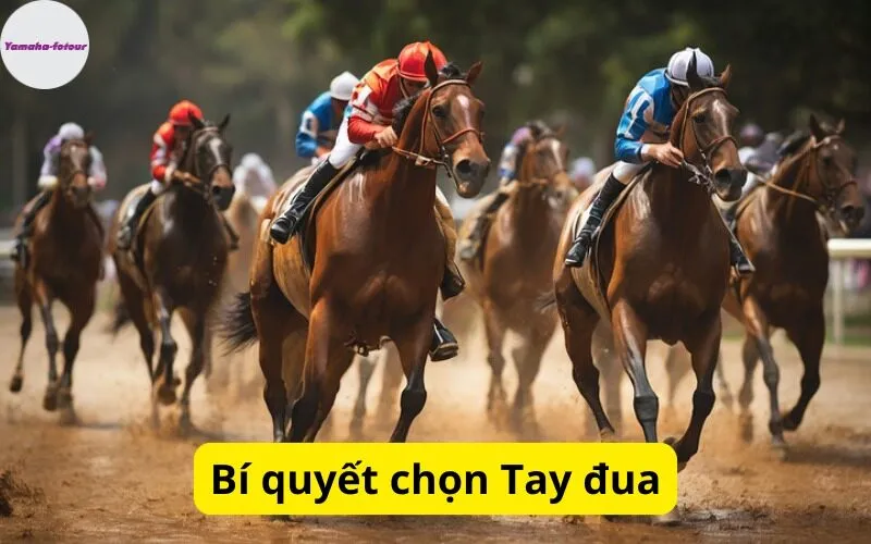 Bí quyết chọn Tay đua