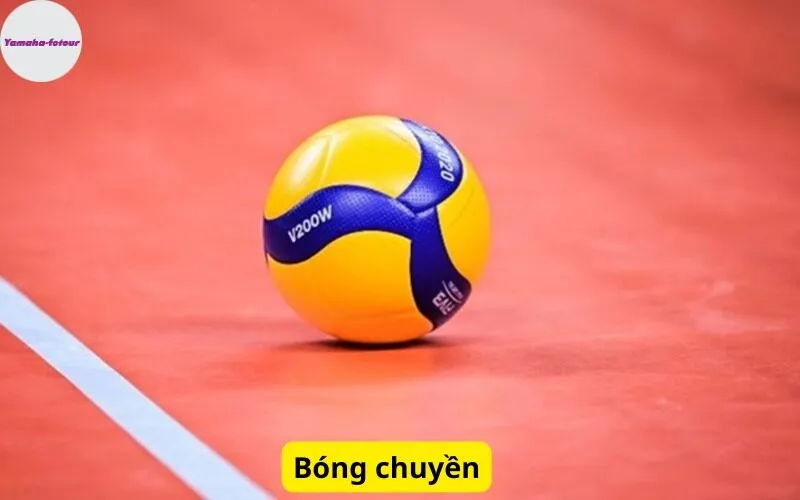 Bóng chuyền