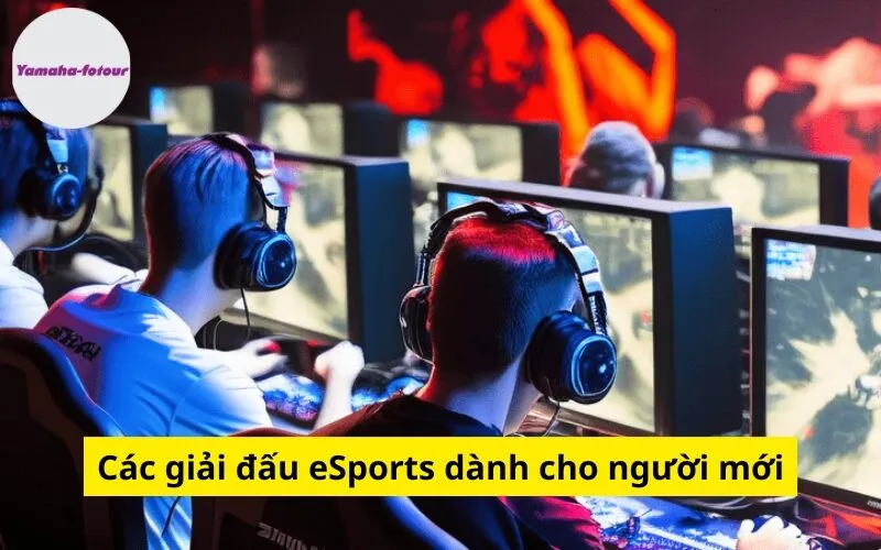 Các giải đấu eSports dành cho người mới