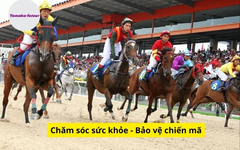 Chăm sóc sức khỏe - Bảo vệ chiến mã