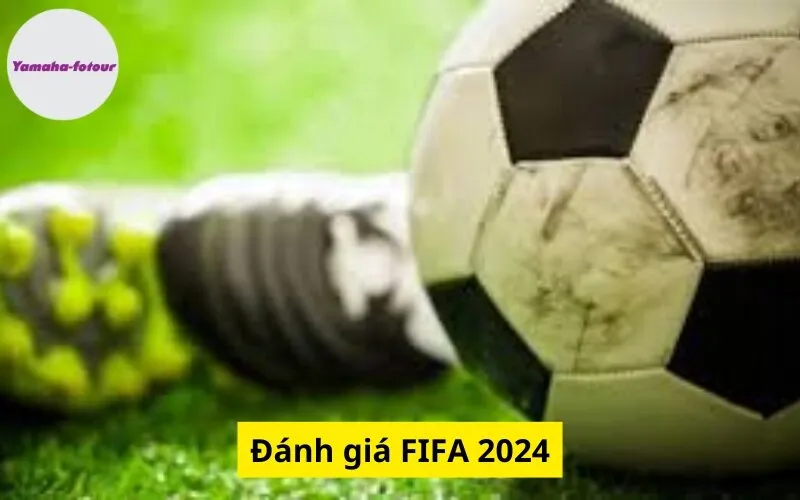 Đánh giá FIFA 2024