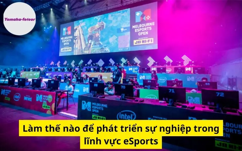 Làm thế nào để phát triển sự nghiệp trong lĩnh vực eSports