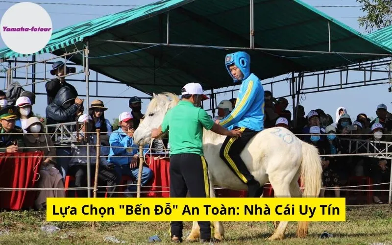 Lựa Chọn "Bến Đỗ" An Toàn: Nhà Cái Uy Tín