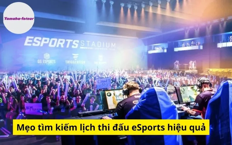 Mẹo tìm kiếm lịch thi đấu eSports hiệu quả