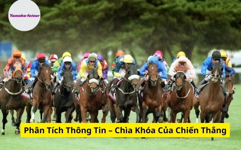 Phân Tích Thông Tin – Chìa Khóa Của Chiến Thắng