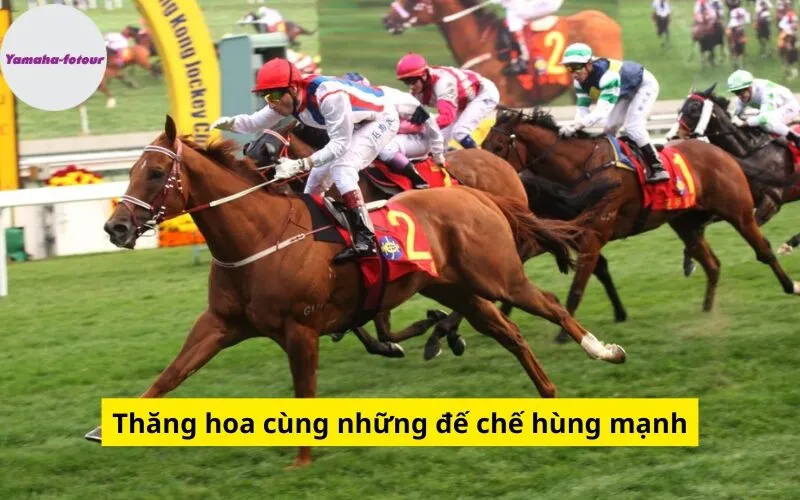 Thăng hoa cùng những đế chế hùng mạnh