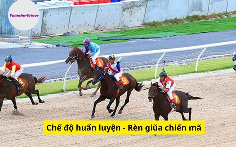 Chế độ huấn luyện - Rèn giũa chiến mã