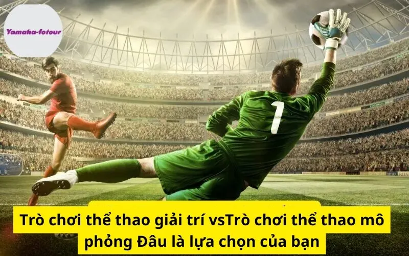 Trò chơi thể thao giải trí vsTrò chơi thể thao mô phỏng Đâu là lựa chọn của bạn