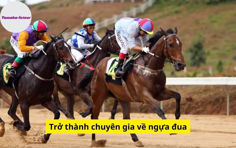 Trở thành chuyên gia về ngựa đua