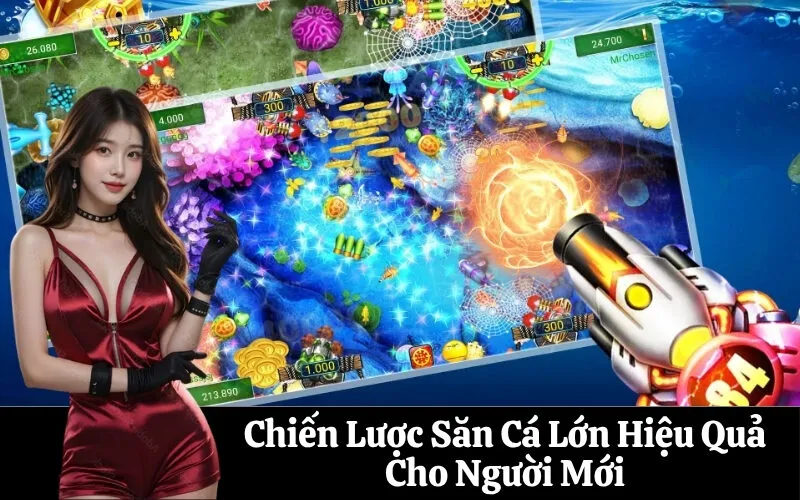 Chiến Lược Săn Cá Lớn Hiệu Quả Cho Người Mới