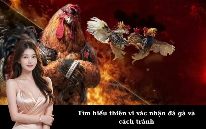 Tìm hiểu thiên vị xác nhận đá gà và cách tránh