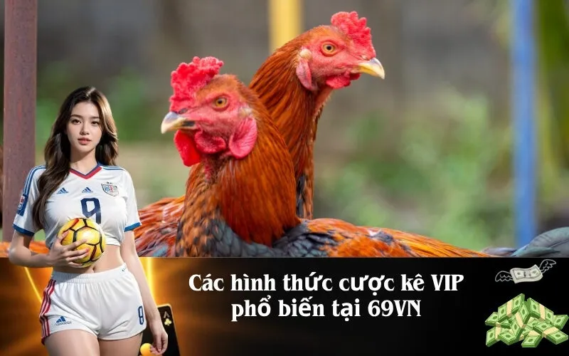 Các hình thức cược kê VIP phổ biến tại 69VN